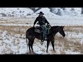 Pepto Dreamer 2020 AQHA Gelding