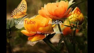 Allabout - Lauren Duski (YouTube Audio Library)