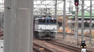 (貨物列車)高速貨物3079列車(岡)EF65-1046