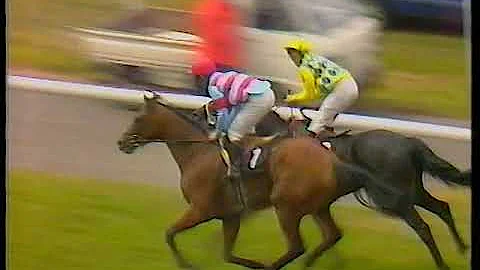 1990 Hardwicke Stakes Assatis Includes Replay