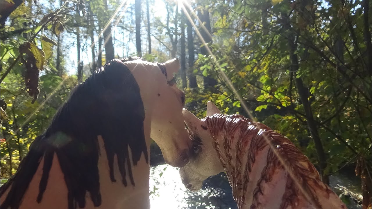 Just a Dream ~ Musikvideo