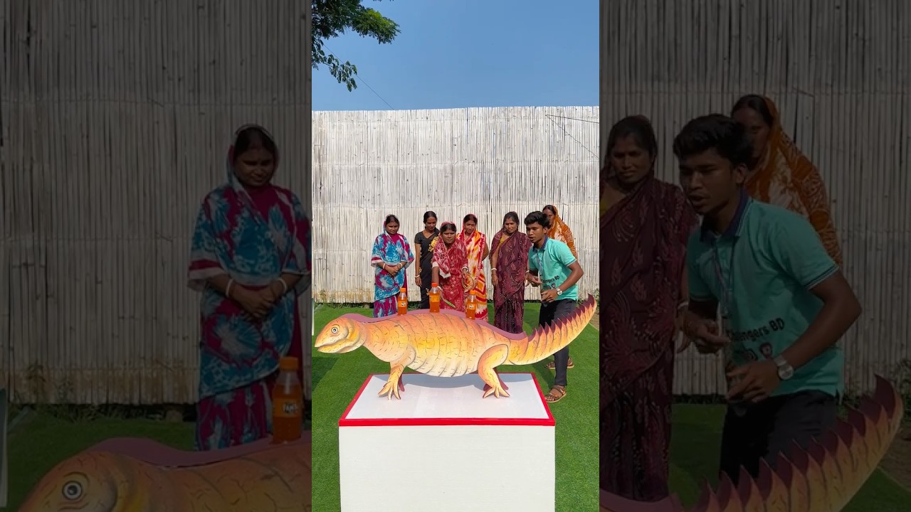 সান্ডার উপর রিং ফেলার চ্যালেঞ্জ!