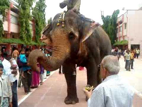 Aarti Maharaj Photo 16