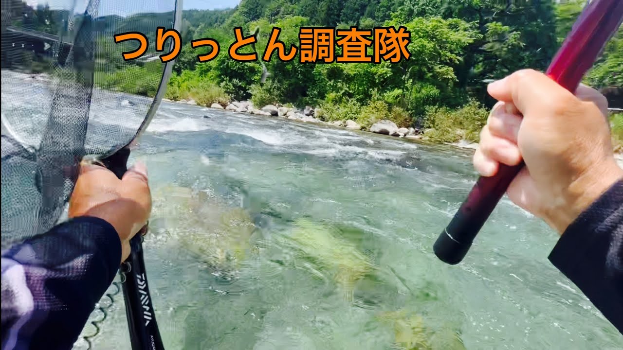 久しぶりの付知川釣れるの？