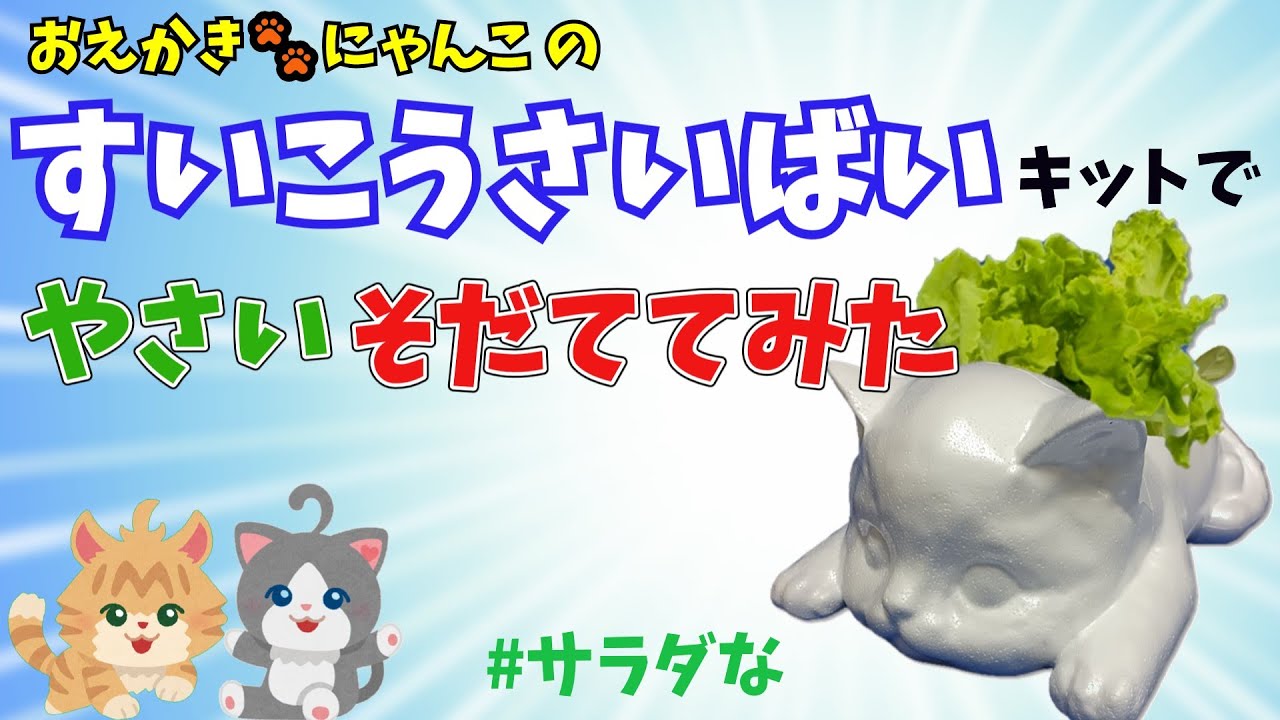 おえかきにゃんこの水耕栽培キット – Makuake STORE