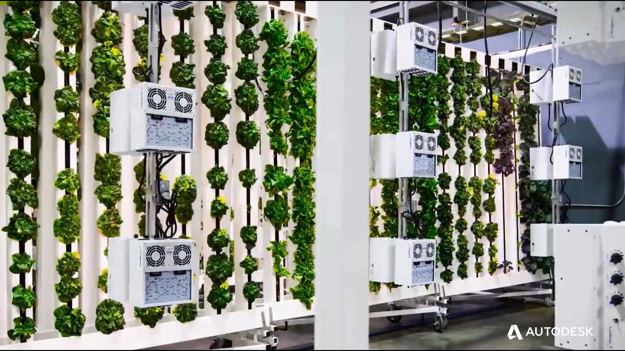 aquaponics final presentation