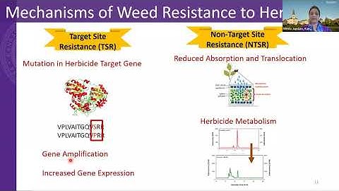 Advancing Agricultural Herbicides through Chemistry