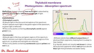 Athlete Statistics IAL Edexcel Biology Unit 4 - Photosynthesis - Part 2