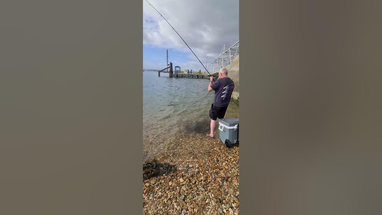 Hayling island fishing sea bass YouTube