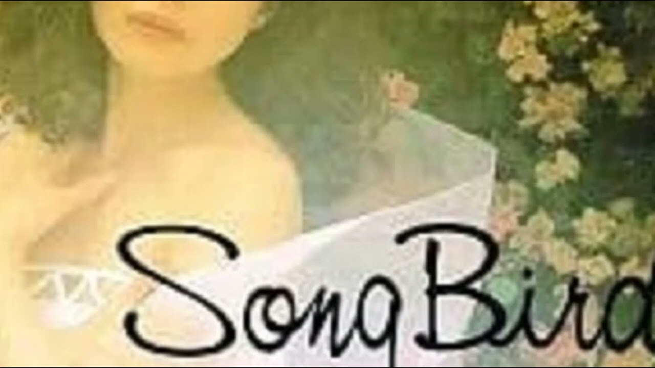 Obejrzyj 吉野千代乃 ヴィーナスは眠れない w YouTube Obejrzyj 吉野千代乃 ヴィーナスは眠れない w YouTube