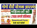 Gogo Didi Yojana Form Kaise Bhare | Go Go Didi Yojana Out Registration Form PDF Format Download Link