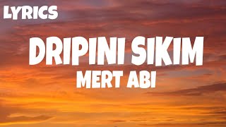 Mert - Dripini Sikim (Lyrics)