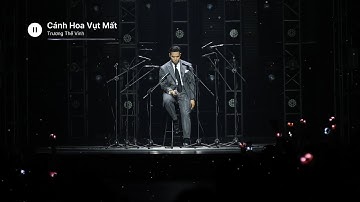 Cánh Hoa Vụt Mất | Trương Thế Vinh | Official Lyric Video