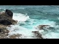 Unreal Nature Wonders of Punta Sur Isla Mujeres México