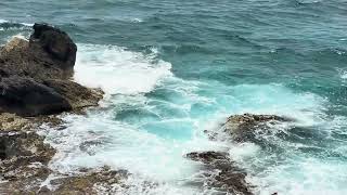 Unreal Nature Wonders of Punta Sur Isla Mujeres México
