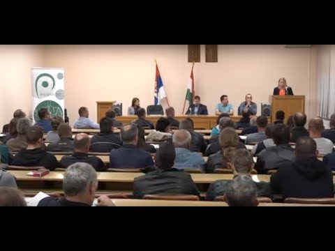 A magyarcsernyeiek zöme pályázna a Prosperitatinál (videó)