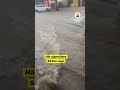 Här forsar vattnet genom spanska staden