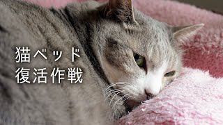 猫ベッド復活作戦！ | #モアクリ Vlog075