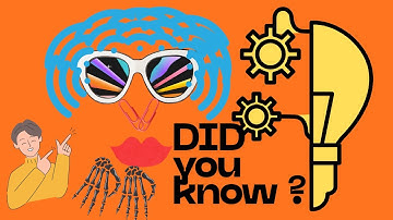 WHO IS BEHIND THIS ☝🏻️? | GREAT INVENTIONS