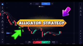 How to trading alligator strategy expert option tutorial 😎🔥