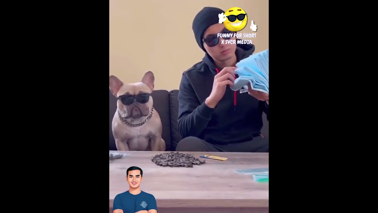 Funny Pet 2023 #fyp #cat #funnycat #foryoupageofficiall #viralvideo #funnyvideos