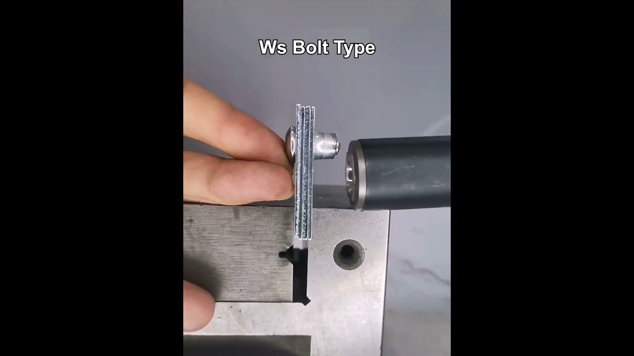 Ws Bolt Type ，Drum rivets