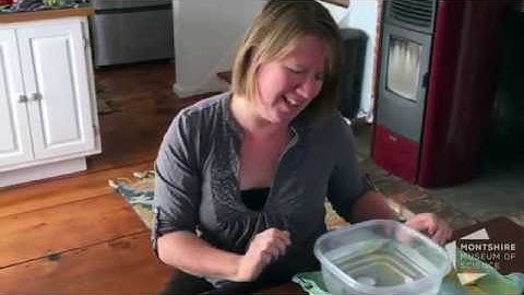 Exploring Density through Sink and Float