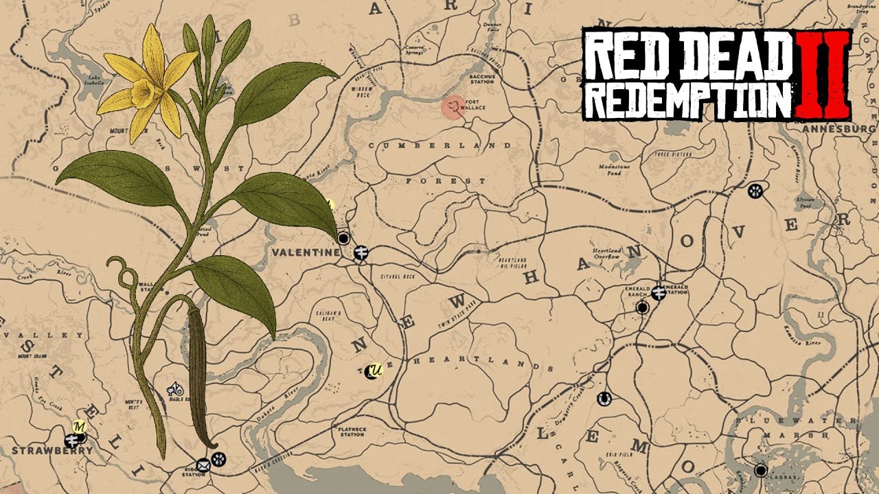 DONDE ENCONTRAR FLOR DE VAINILLA EN RED DEAD REDEMPTION 2 🟢 - YouTube