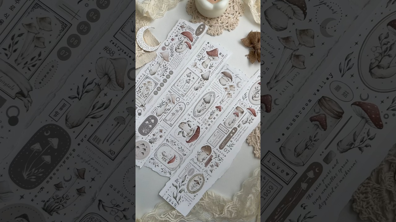 this is your sign to start using pet tapes in your journals 🤎🎀✨ 