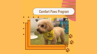 therapy dog scarf