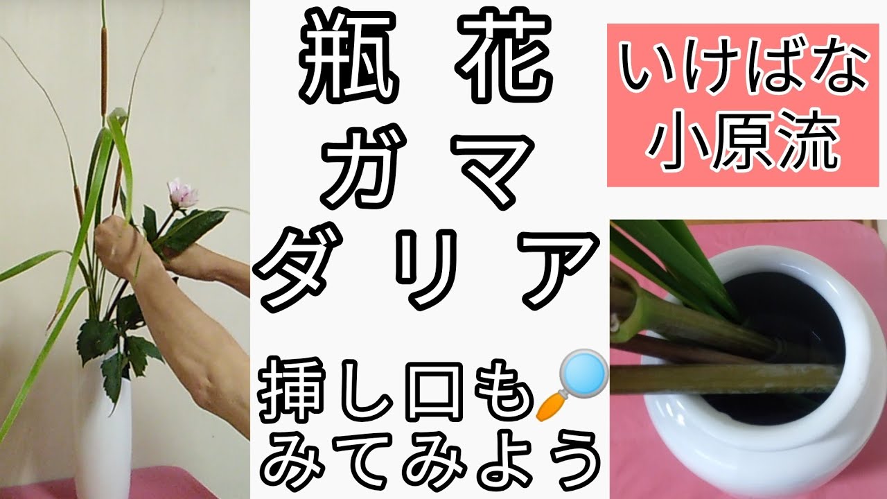 Ohara style of Ikebana - Cattail, Dahlia, Vase flower, Upright