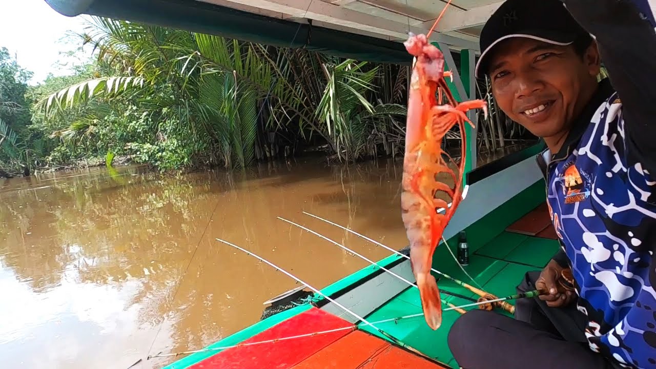 Baru kali ini dapat udang merah aneh, langsung masak sambal balado