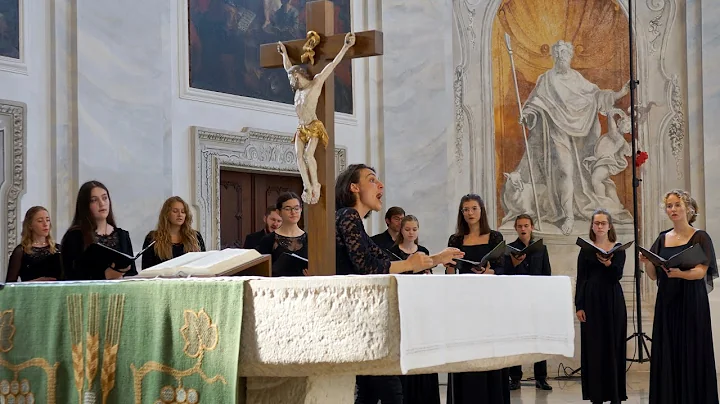 Salve Regina - Martin Vllinger | Junger Kammerchor...