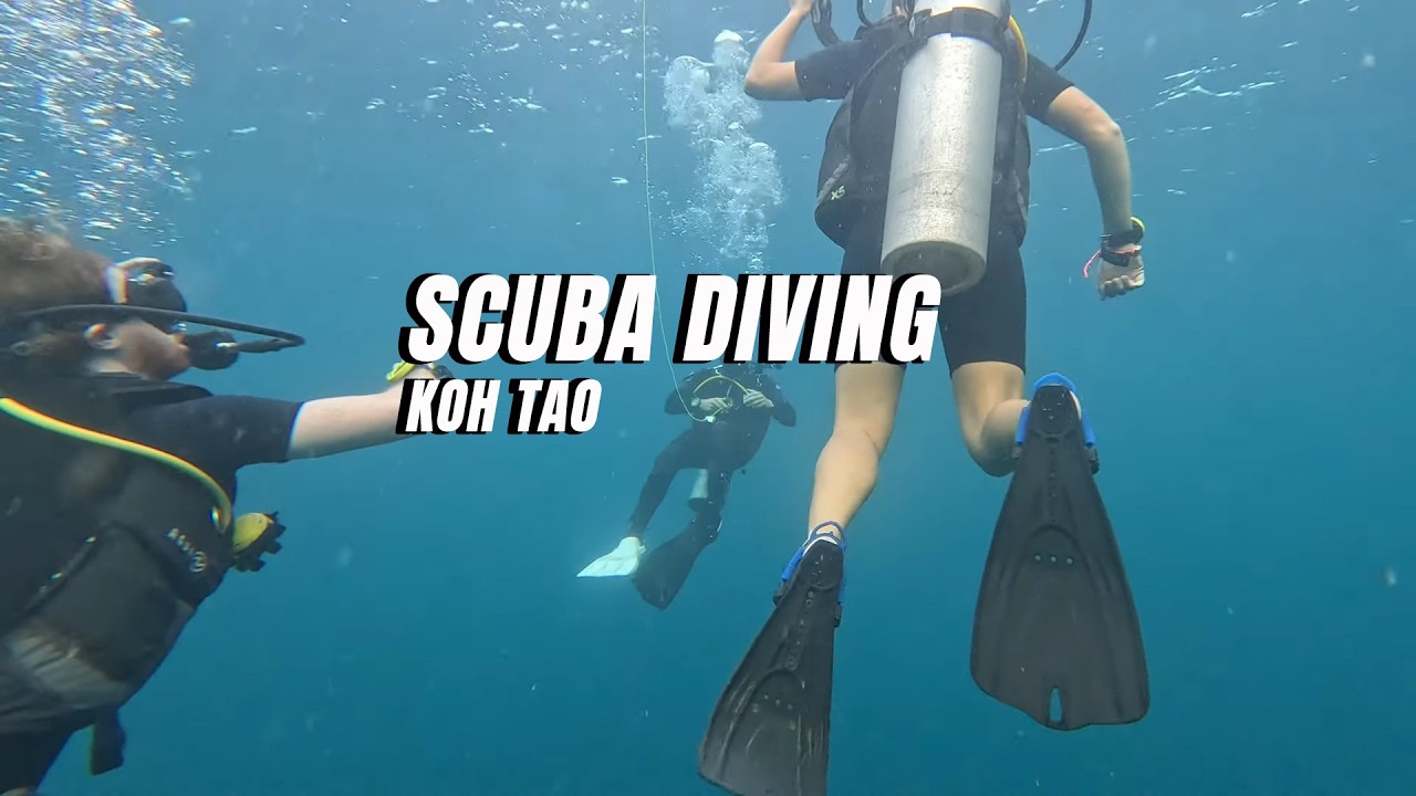 SCUBA DIVING at White Rock Koh Tao! 🤿 Under Water with GoPro 13 Black (4K)