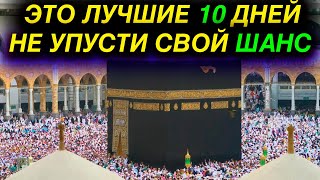 ОЧЕНЬ ВАЖНО! ЭТО ЛУЧШИЕ 10 ДНЕЙ! 10 ДНЕЙ ЗУЛЬ ХИДЖА! КУРБАН БАЙРАМ 2023! ХАДЖ И ДЕНЬ АРАФА! ХАДИСЫ