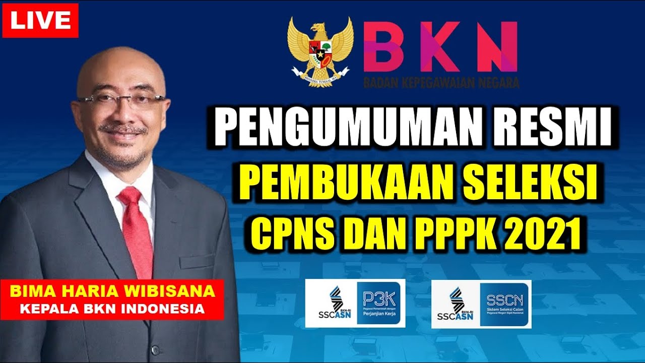 Sscasn pengumuman