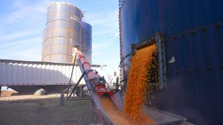 Emptying The Old Grain Silos During A Wind Storm