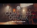 Freilach Sessions: Comme Les Oiseaux | Feat. Meyer Rosenbaum