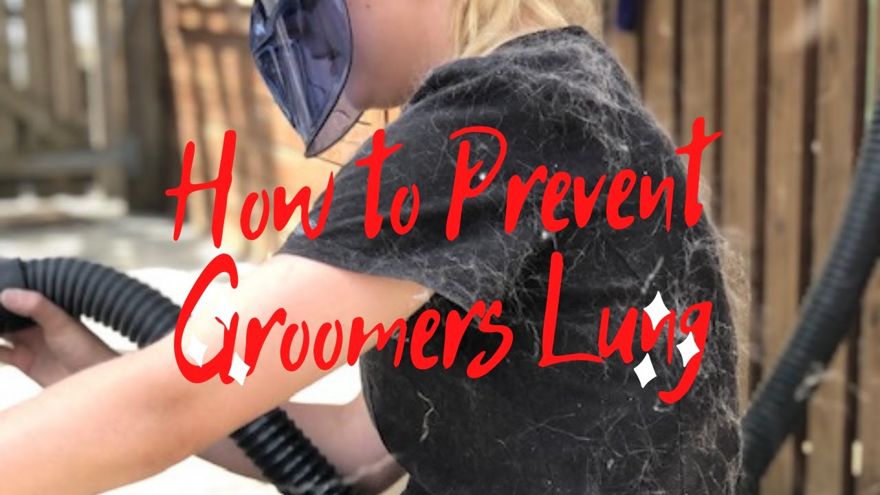 How To Prevent Groomers Lung
