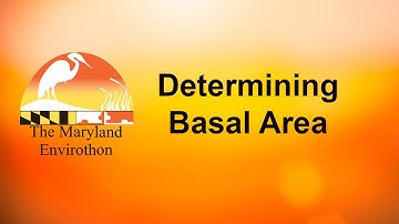 Determining Basal Area