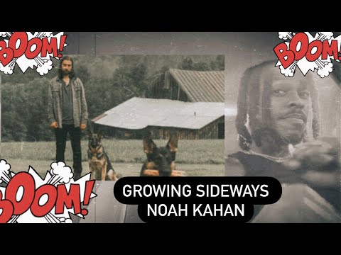 Noah KAHAN GROWING SIDEWAYS ( REACTION VIDEO) 🌎🫡🫡🫡🤞🏾🤞🏾I love his music 🔥🔥🔥🙏🏾❤️