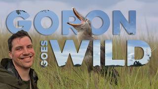 Visiting Entebbe Zoo & Tracking Wild Shoebill! | Goron Goes Wild: Uganda