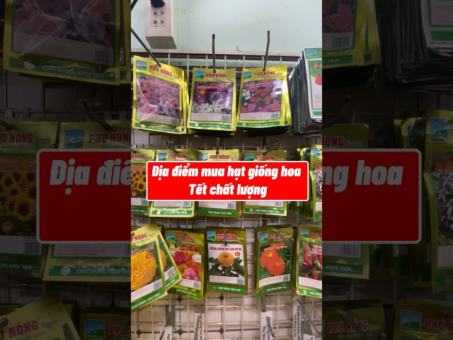 Những loại hoa Tết được nhiều người ưa chuộng #hạtgiống #hatgionghoa #vuonsaigonvn