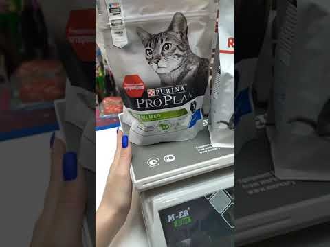 Как выбрать сухой корм для кошки, известные бренды кормов, классификация, состав.