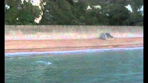 Robin Sumner MD Solo English Channel Swim