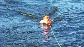 A million views on Flickr