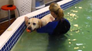 Cooper therapy swim