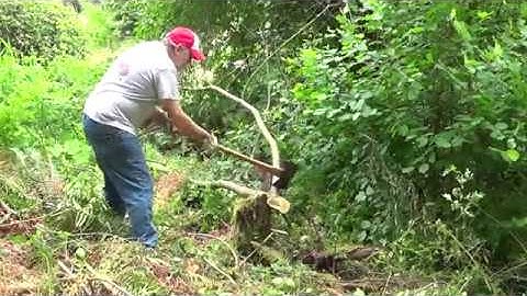 Vintage Axe Review #2 Collins Axe