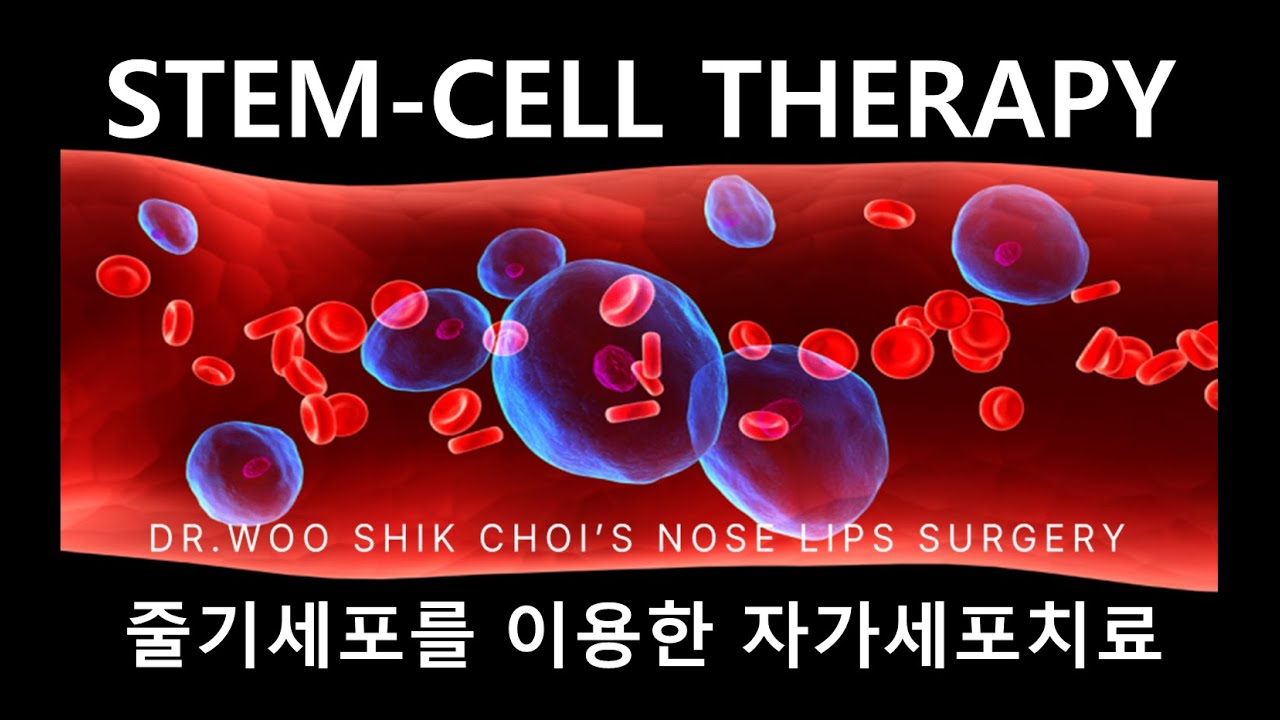 WHAT IS STEM CELL THERAPY YouTube what-is-stem-cell-therapy-youtube