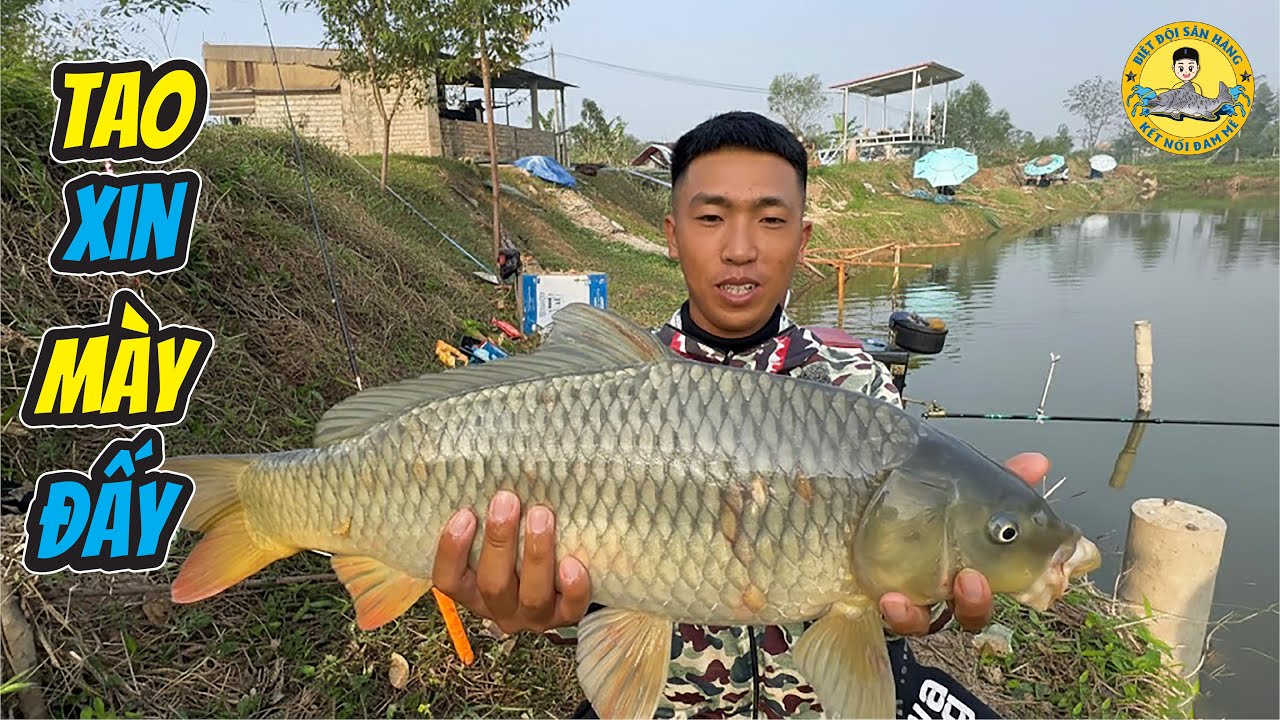 Long Lửng Mật Đi Câu bị Đàn Cá Ức Hiếp “Xin Tha” Liên Tục?